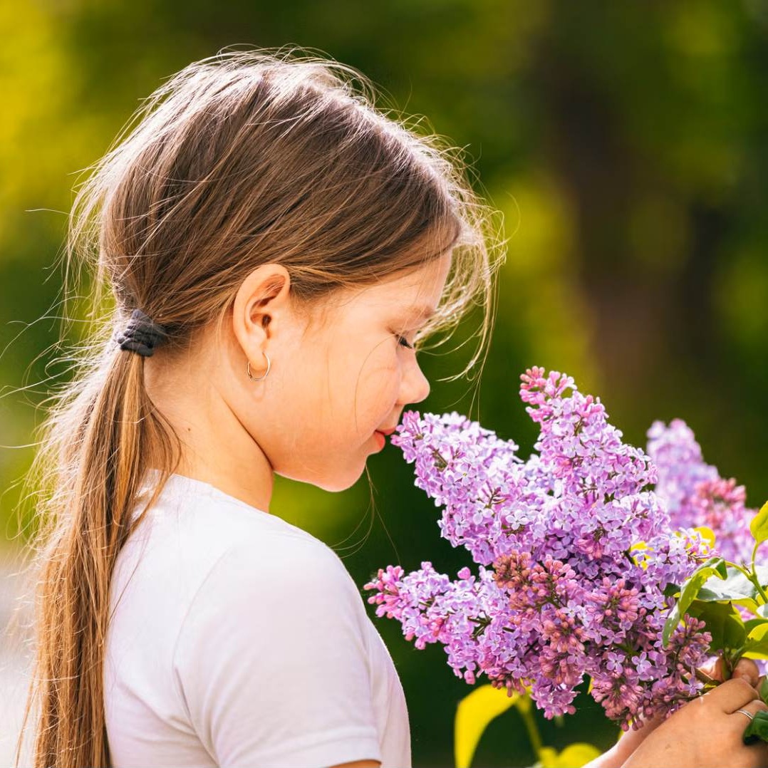 Child sniffing fragrant lilac blooms