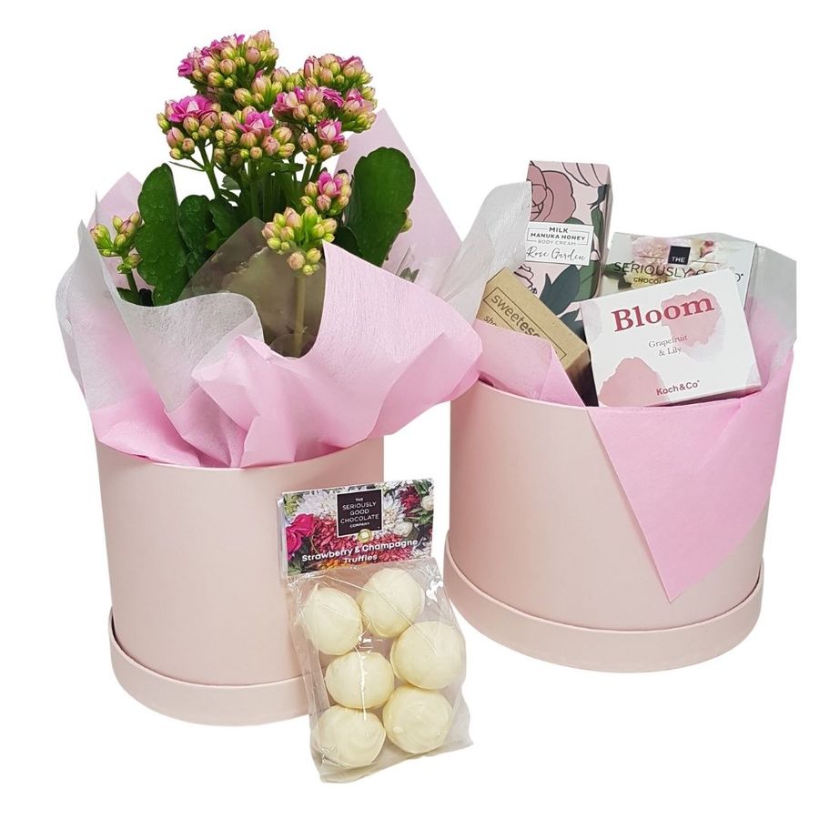bloom hatbox gift set