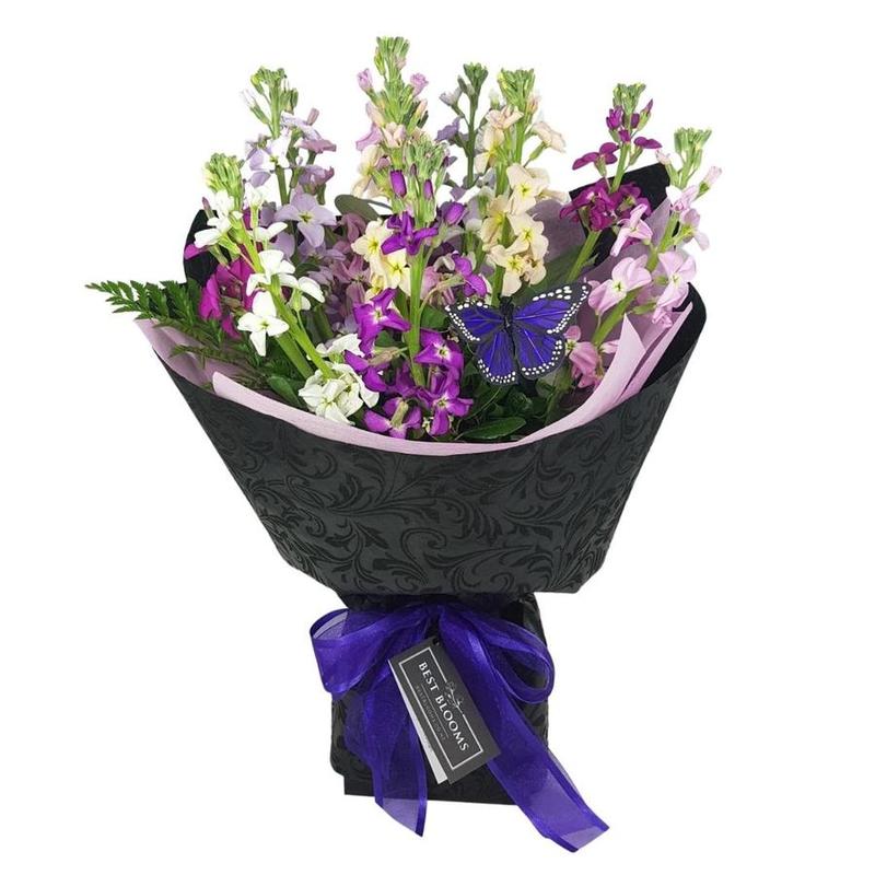 Standard Butterfly Stock Bouquet