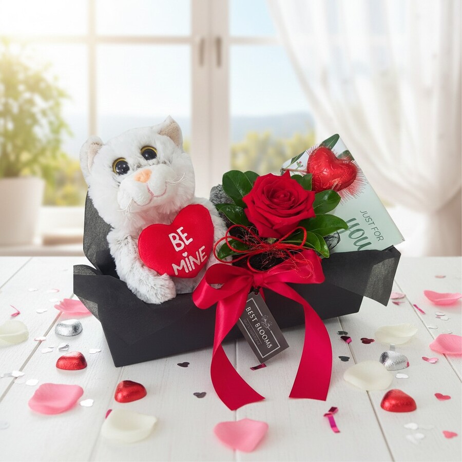 Cat lovers Valentine gift basket presented in black gift box