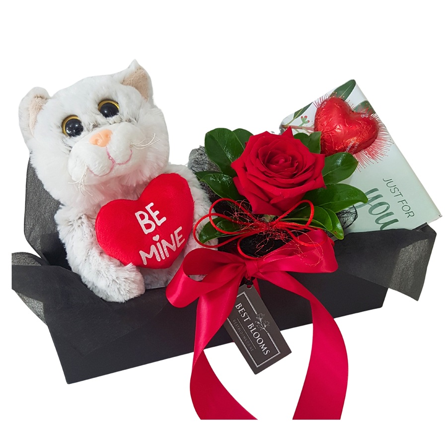 Be Mine Valentines Cat Soft Toy with Chocolate Treats and Red Rose in Glass Vase