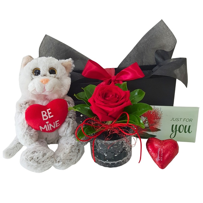 Cute Valentine cat gift basket with rose and chocolate