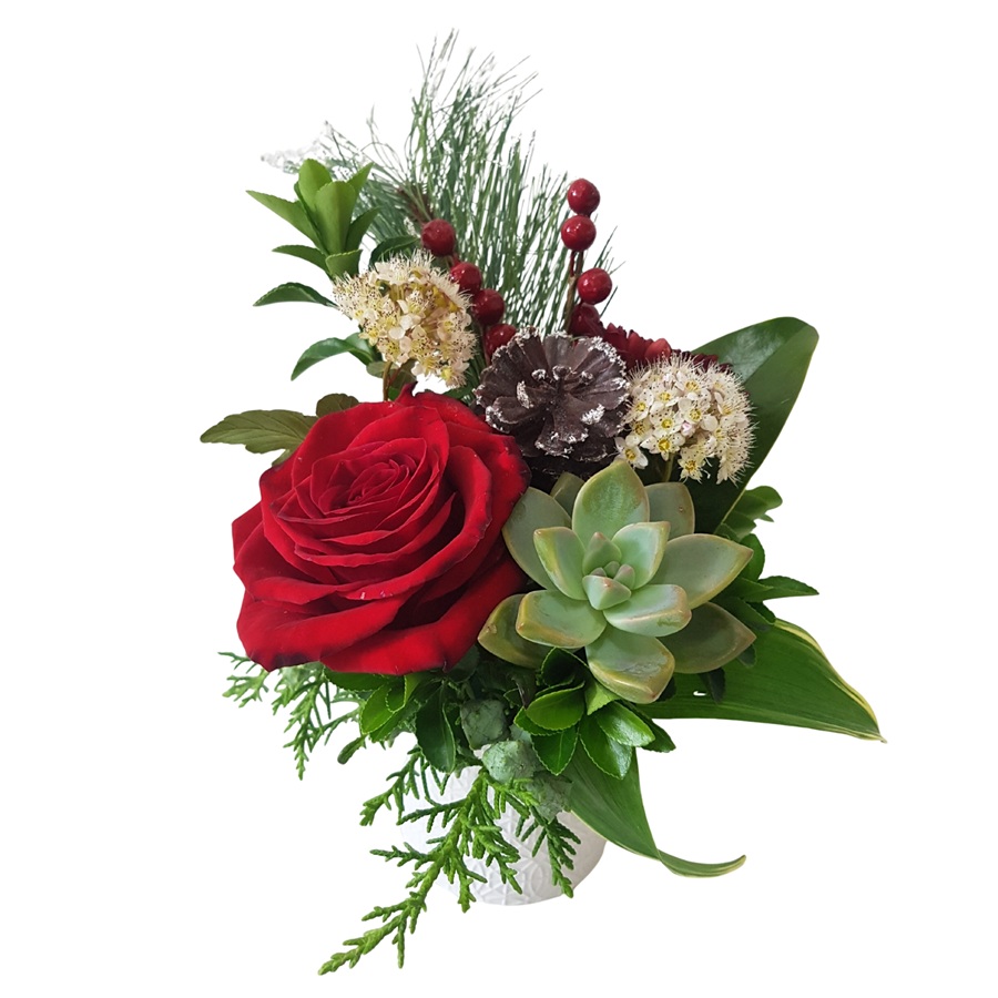 Christmas Goodness Basket Christmas table top arrangement in ceramic pot