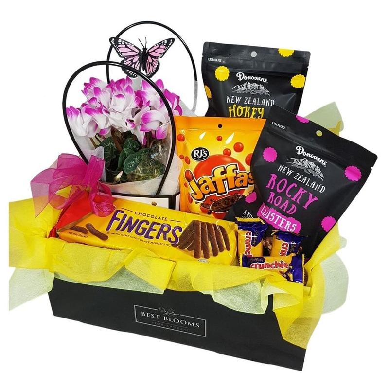 Flowering Plant & Chocolates Gift Basket Free Delivery Free Flower