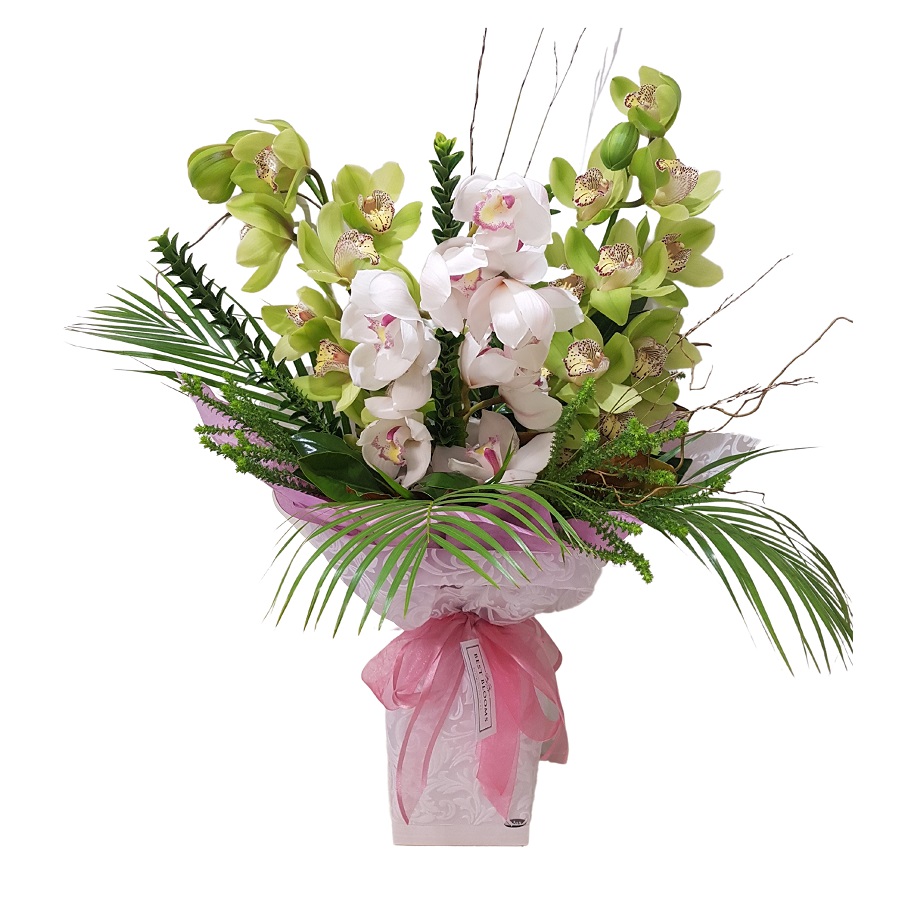 Cymbidium orchids bouquet wrapped in white