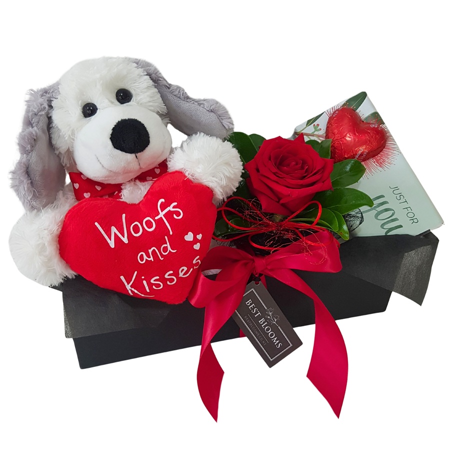 Dog Lovers Gift Set Valentine’s gift box with puppy soft toy and red rose