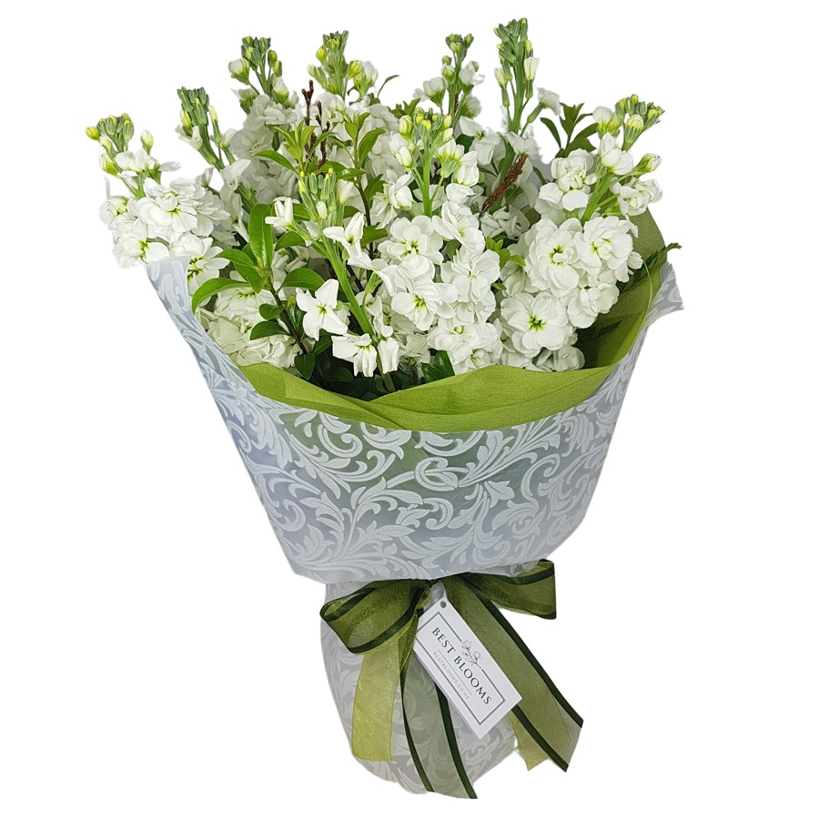 vox bouquet of perfumed white stocks