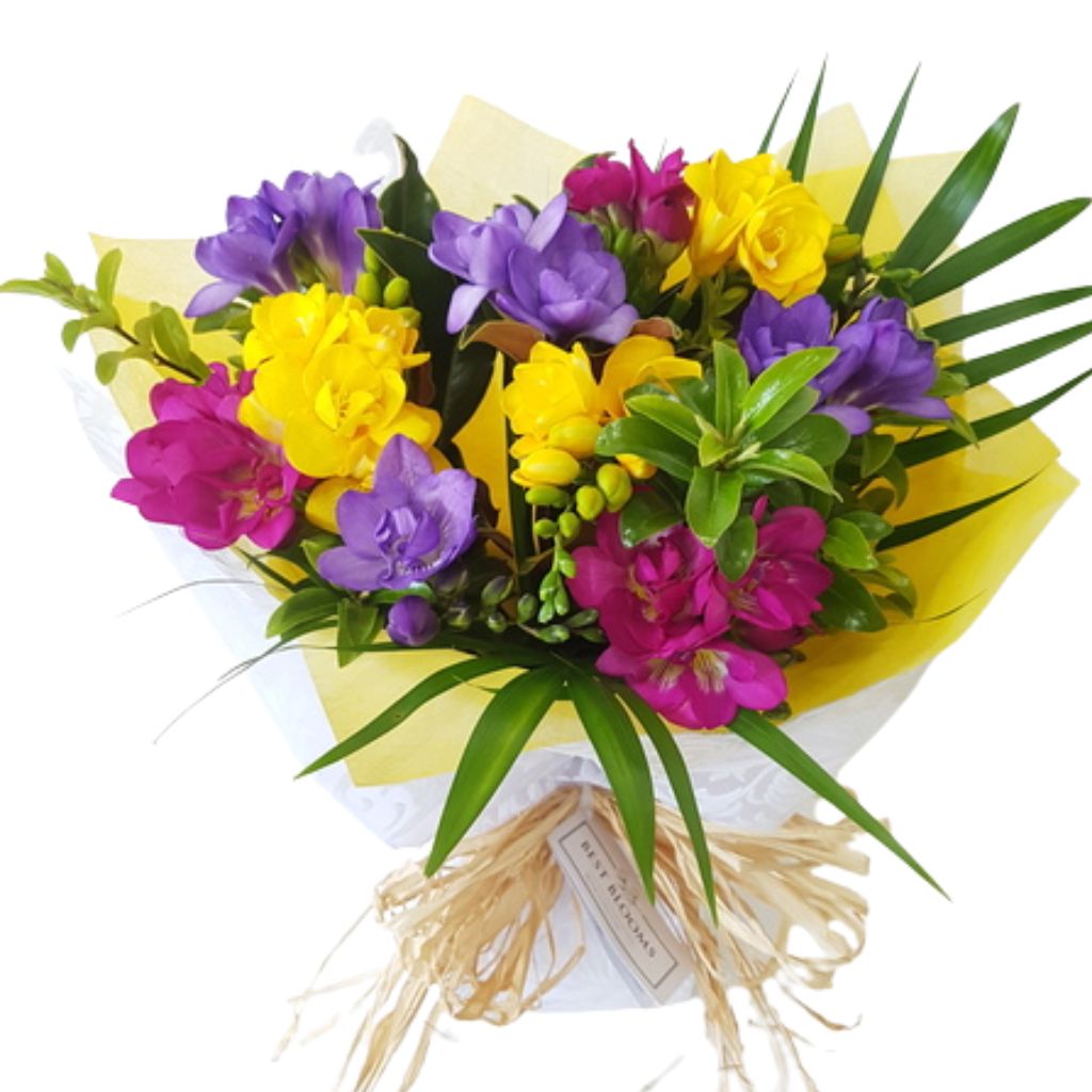 Small Fresh Freesias