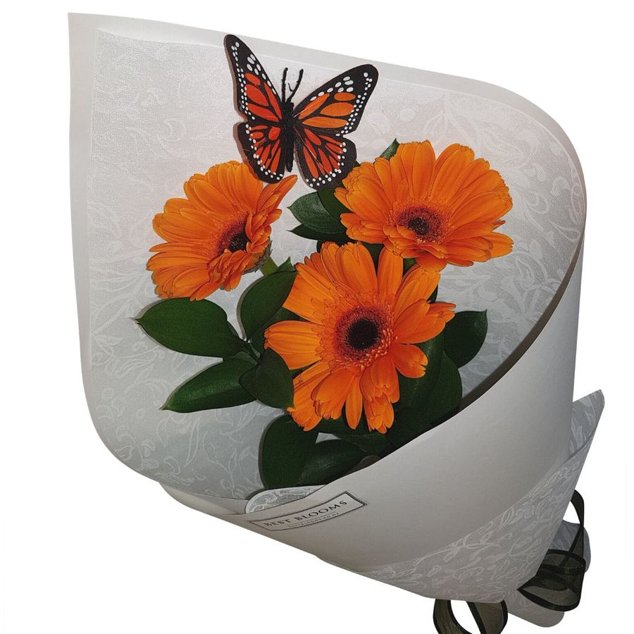 orange gerbera trio and monarch butterfly