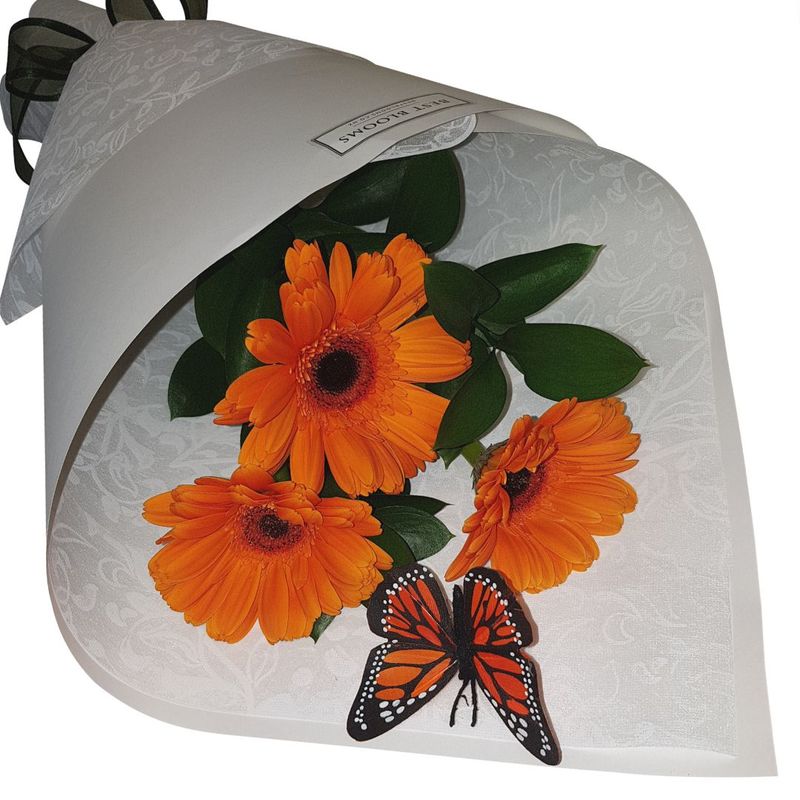 cone wrap of 3 mini gerberas - picture shows orange gerberas and monarch butterfly