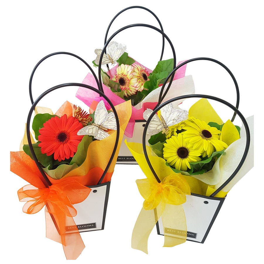 three gerbera plants in gift bags with keepsake butterflies