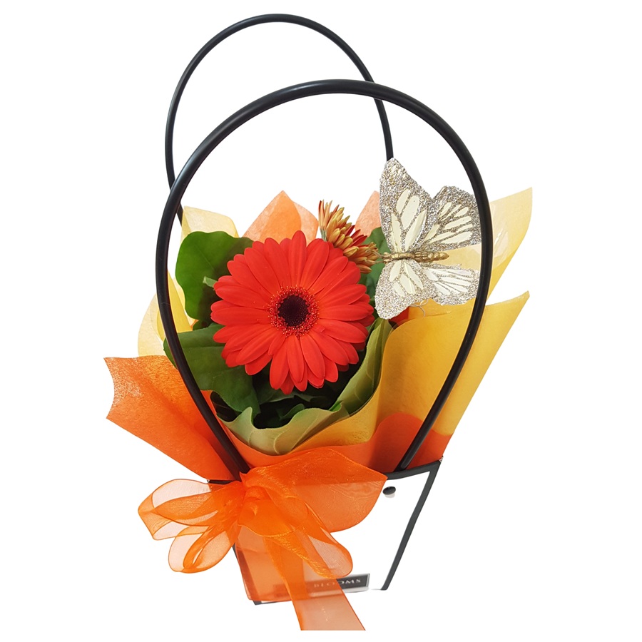 Cute Gerbera Plant in Gift Bag orange gerbera plant in a gift bag with a keepsake gold butterfly