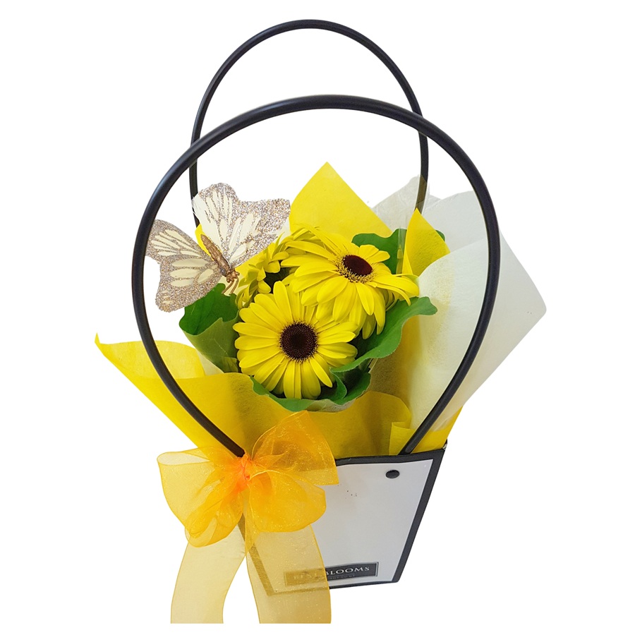 Cute Gerbera Plant in Gift Bag yellow gerbera plant with keepsake butterfly