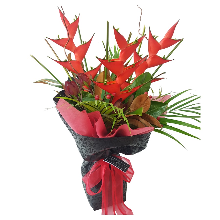 Red heliconia tropical flowers