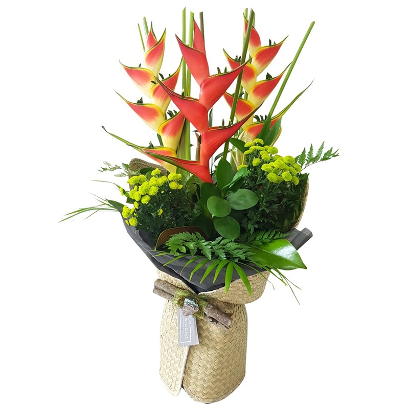 Red heliconia tropical flowers
