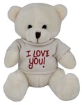 I love you white teddy bear