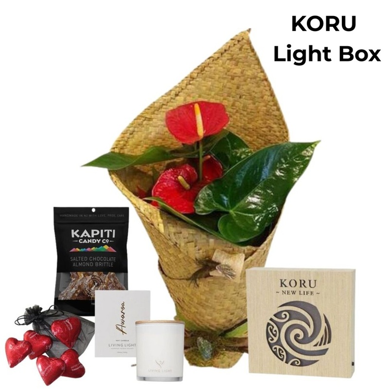 Premium Whanau Anthurium Plant Gift Box