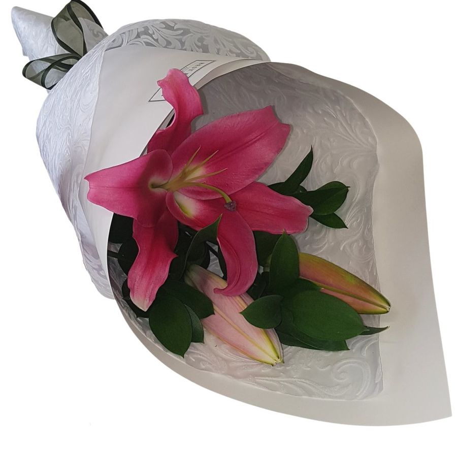 pink oriental lily in fresh white wrap
