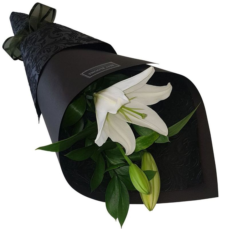 white%20oriental%20lily%20in%20stylish%20black%20wrap, 