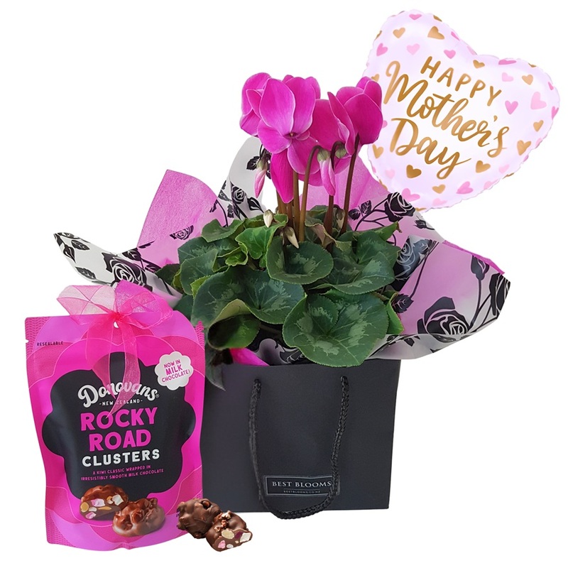 Mother's Day cyclamen plant gift basket Auckland delivery with chocolates and balloon