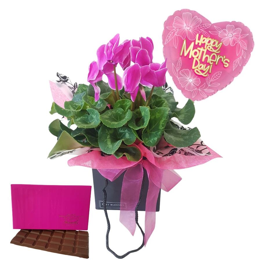 Mothers Day Plant basket delivery Auckland NZ