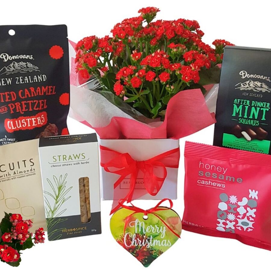 This Week’s Special fresh seasonal flowers bouquet – Best Blooms Auckland