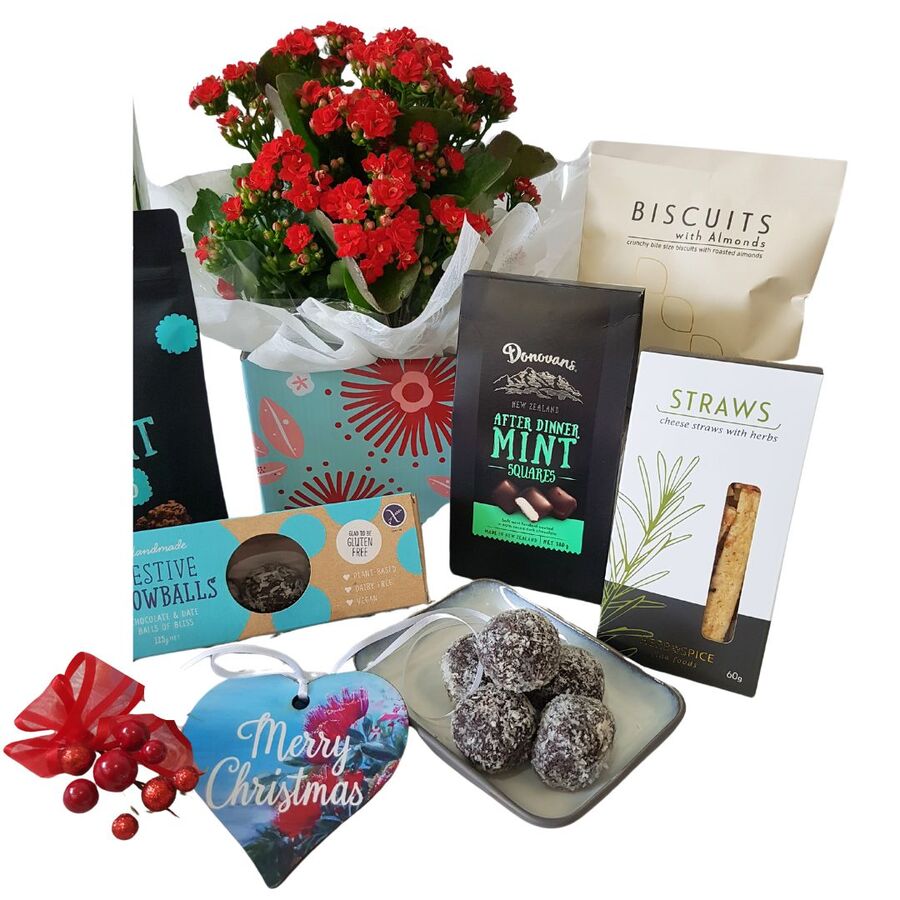 Merry Christmas Hamper close up showing red plant and chocolates