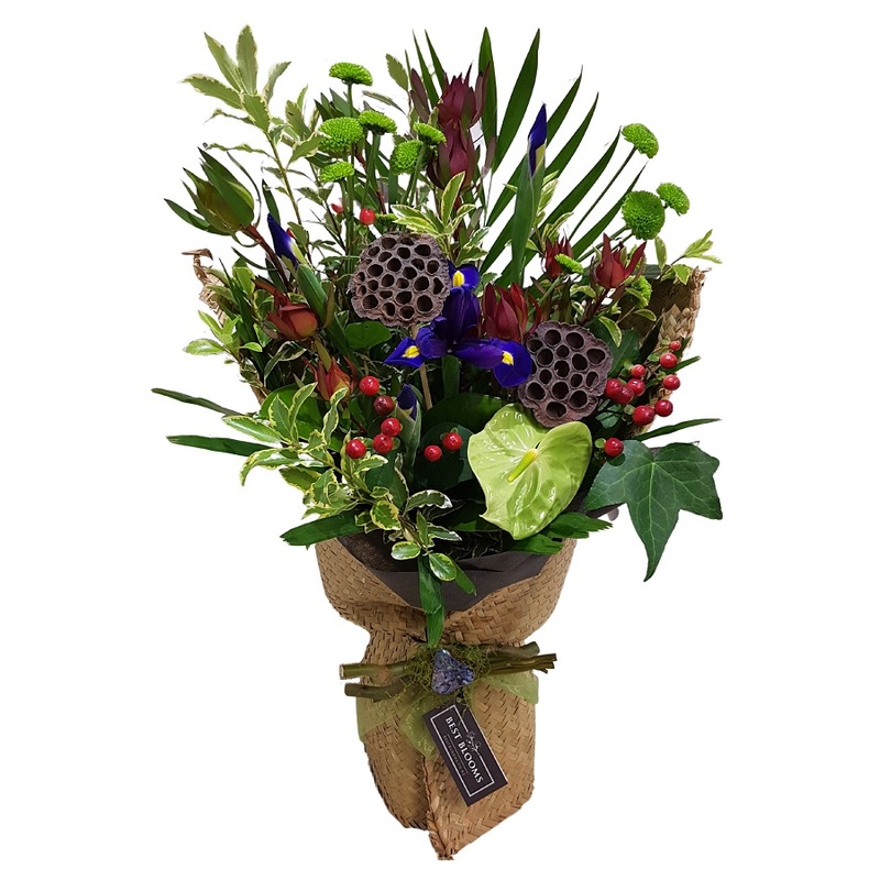 Free Flower Delivery to Mt Albert, Auckland