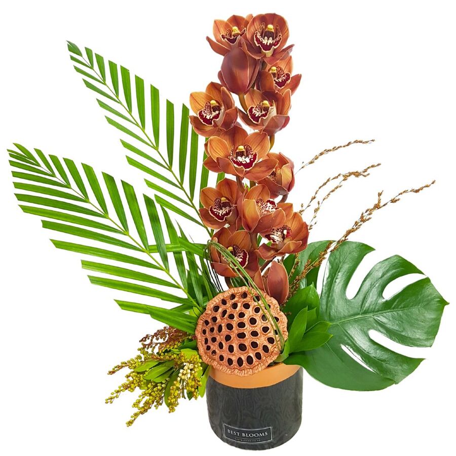 Love Orchids Chocolate Brown Cymbidium orchid arrangement with tropical palm leaves