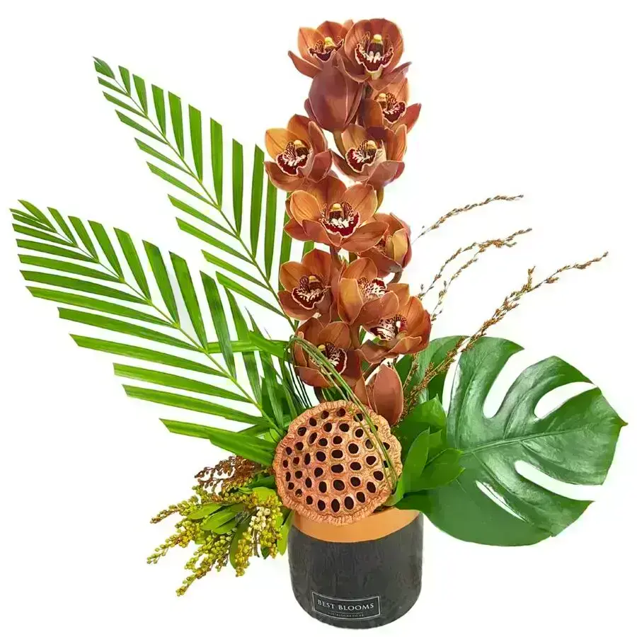 Send Orchids for Mother's Day Auckland New Zealand