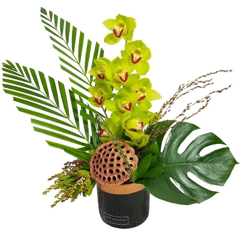 White Orchids and Tropical Palm Leaves Arrangement