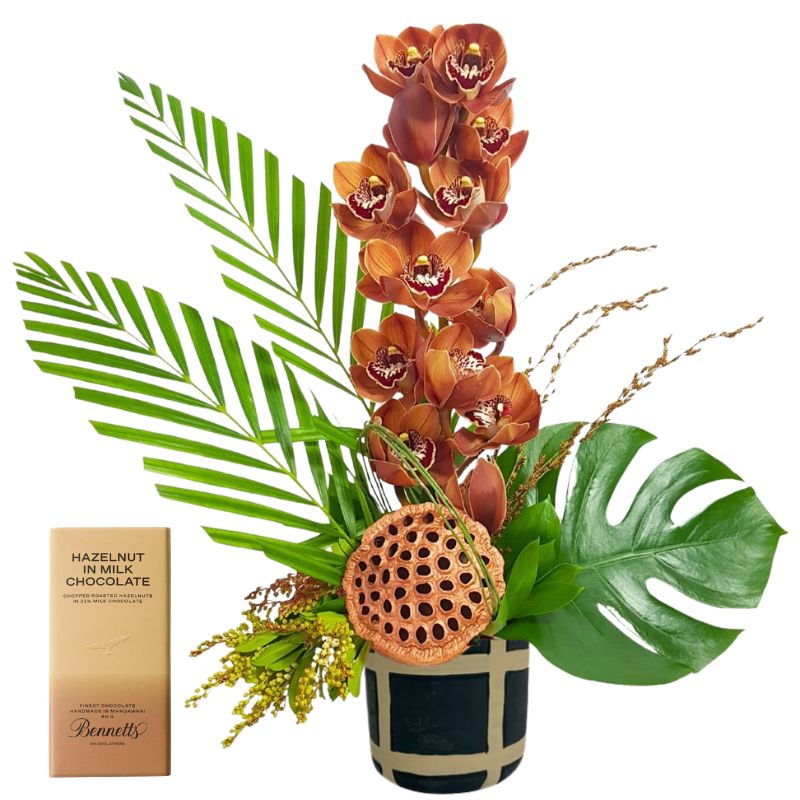 Lush Chocolate Brown Orchid  – Weekly Flowers Special Best Blooms Auckland