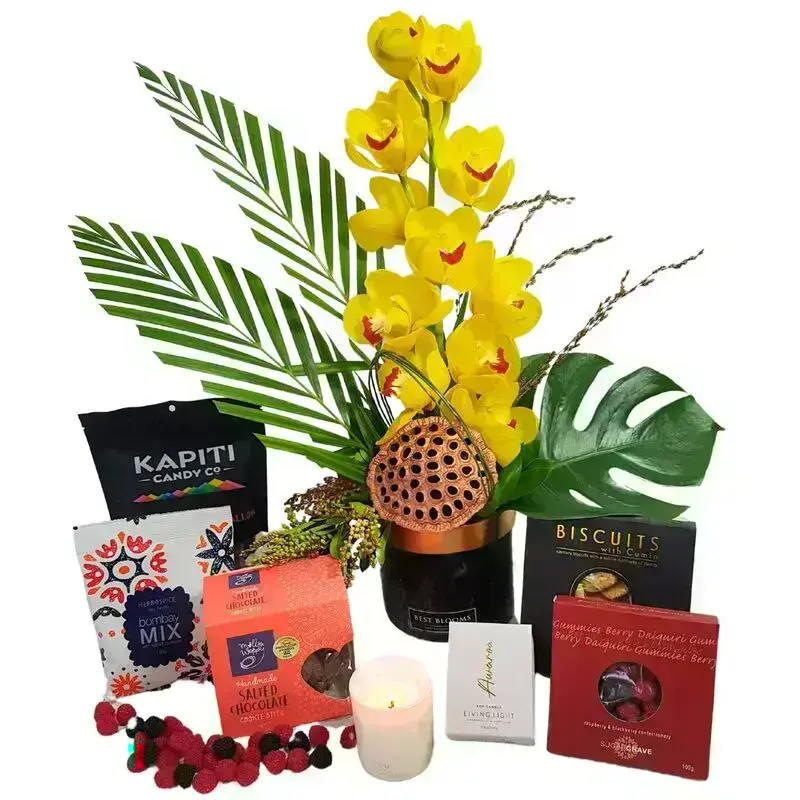 Green Cymbidium Orchid Arrangement and Gift Box Auckland