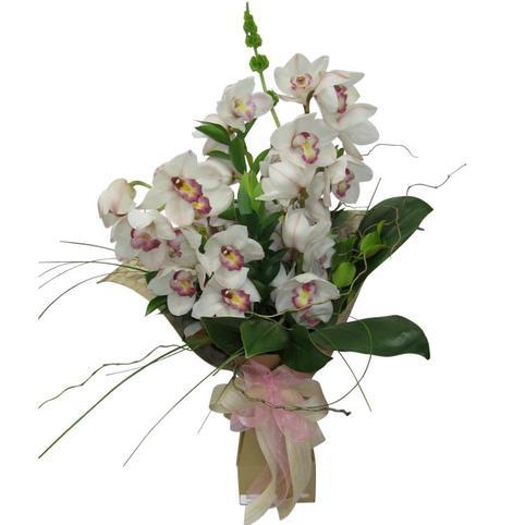 white cymbidiums orchid bouquet auckland 