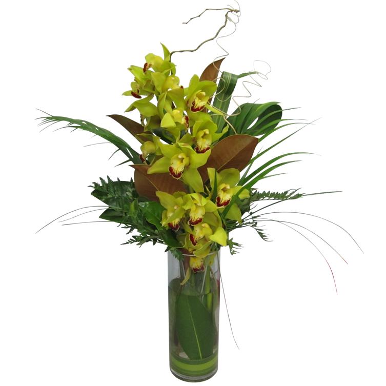 NZ Green Cymbidium Orchids arranged in Glass Vase Auckland NZ