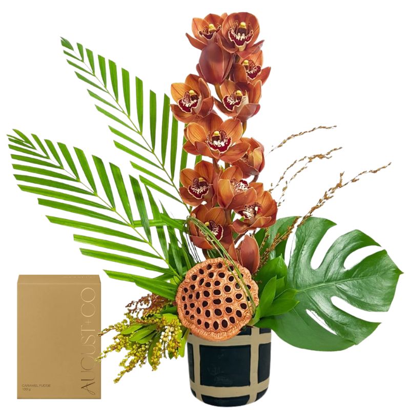 Lush Chocolate Brown Orchid  – Weekly Flowers Special Best Blooms Auckland, Lush Chocolate Brown Orchid
