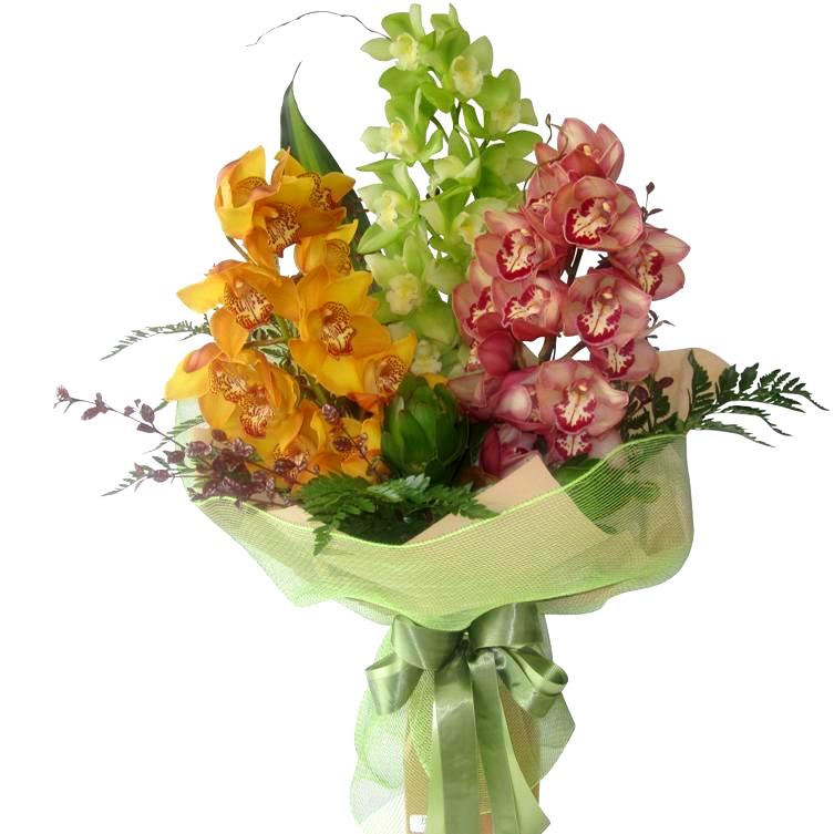 FREE Flower Delivery Auckland Best Blooms Florist Auckland NZ