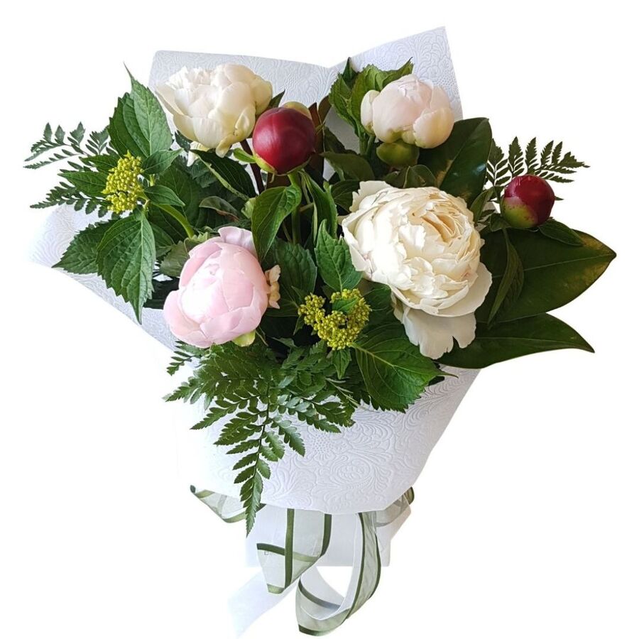 Mixed Colour Peony Flowers in Vox – Best Blooms