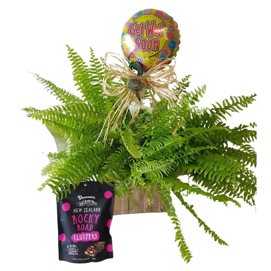 boston fern in natural wrap with happy birthday balloon and coconut chocolates