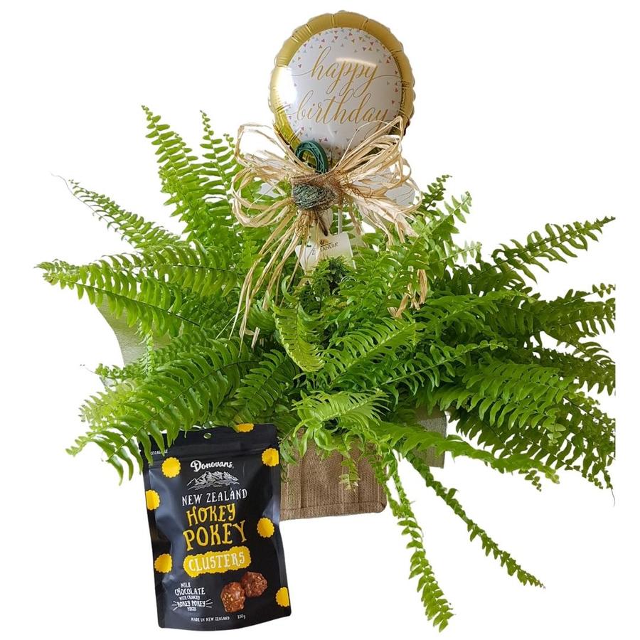 boston fern plant with get well balloon and rocky road chocolates