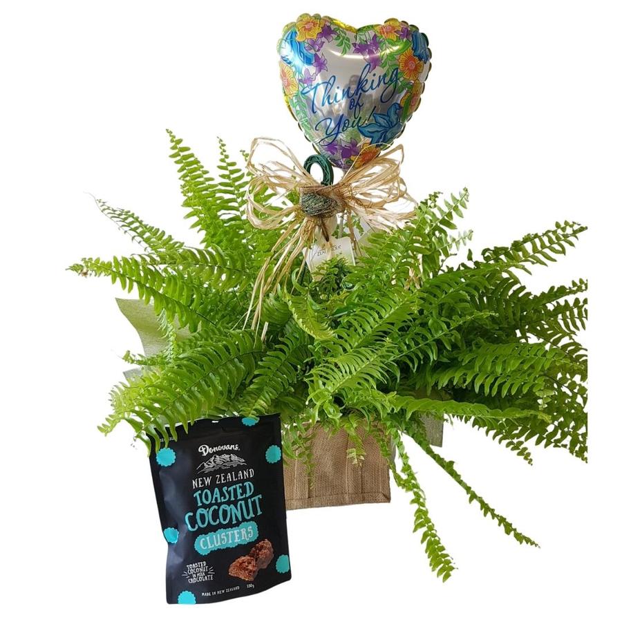 fern plant with Thinking of You balloon and hokey pokey chocolates