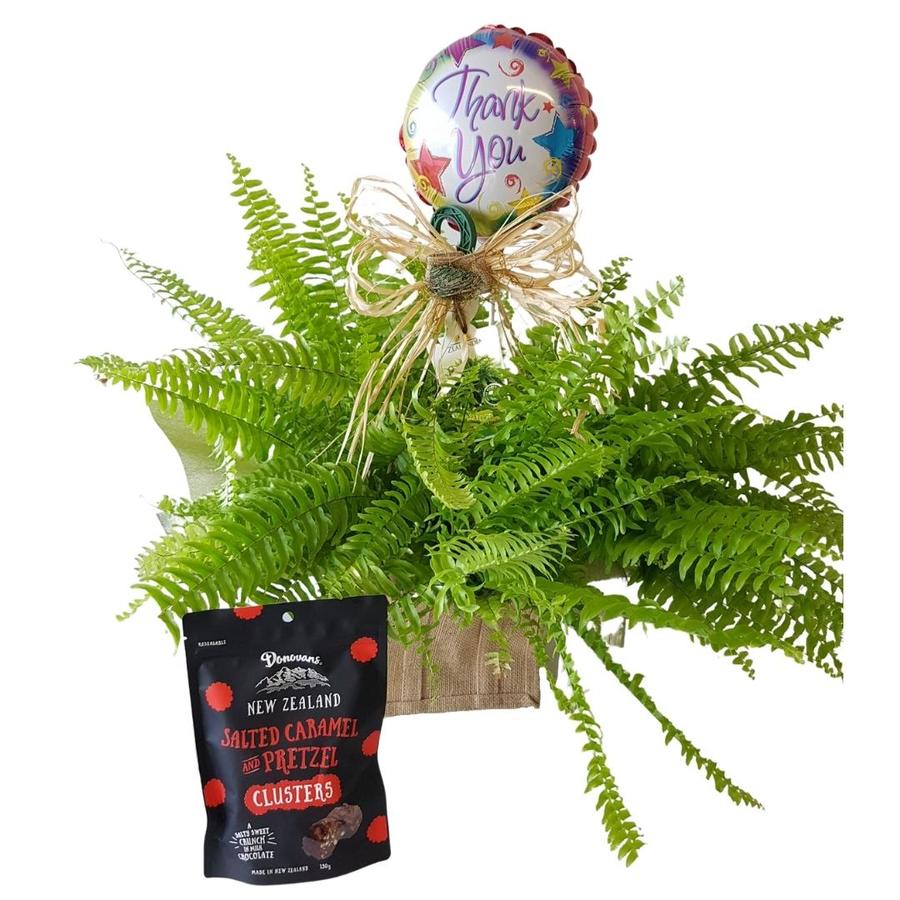 green plant gift with thank you balloon and salted caramel chocolates