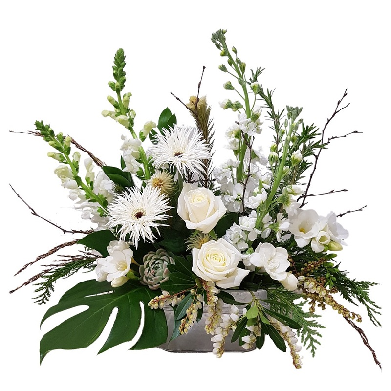 Sympathy white flower arrangement Auckland NZ. Flowers in tin trough including gerberas, roses and other seasonal flowers, 