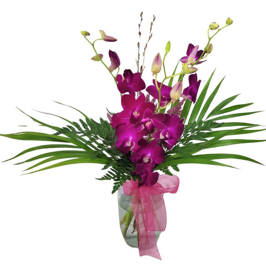 Purple Singapore Orchids in Vase with Palm Leaves