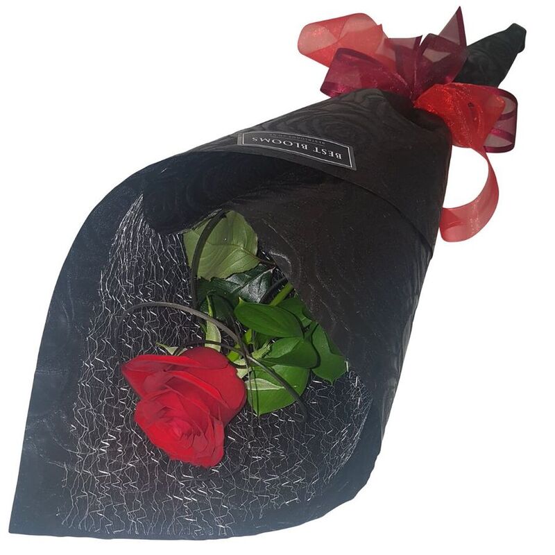 Single Red Rose Delivery Auckland, 