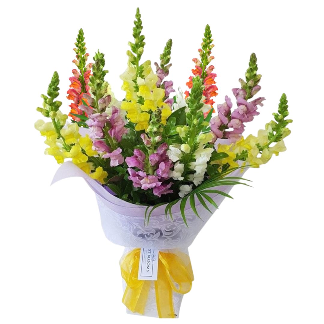 This Week's Special This Week’s Special fresh seasonal flowers bouquet – Best Blooms Auckland