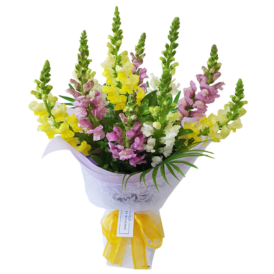 Snapdragon Bouquet Auckland NZ