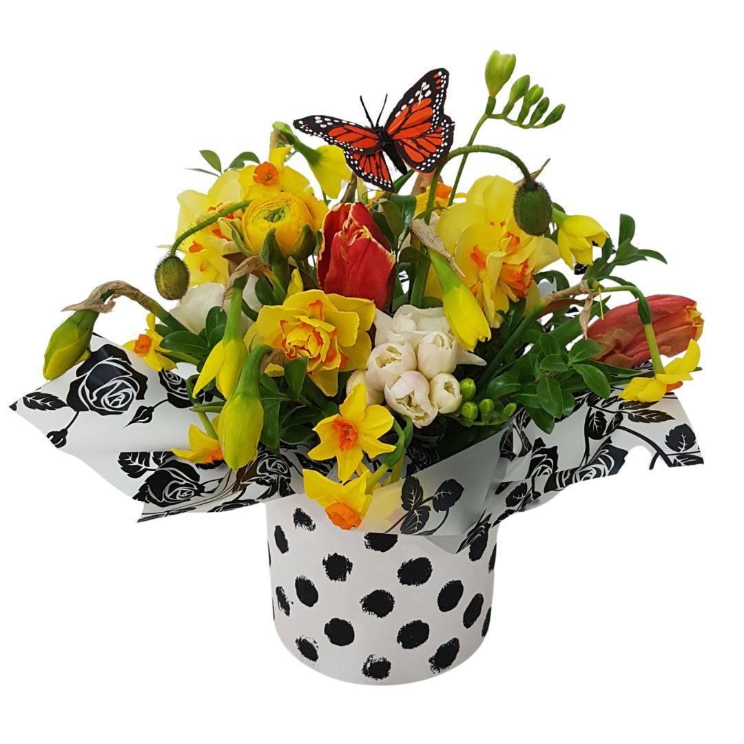Spring Fragrance Posy in Ceramic – Weekly Flowers Special Best Blooms Auckland, Spring Fragrance Posy in Ceramic