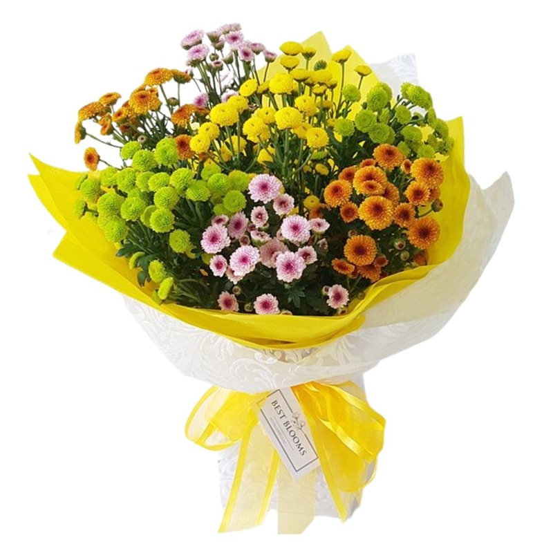 Bright Santini posy bouquet with mixed vibrant button mum flowers arranged in a compact posy style.