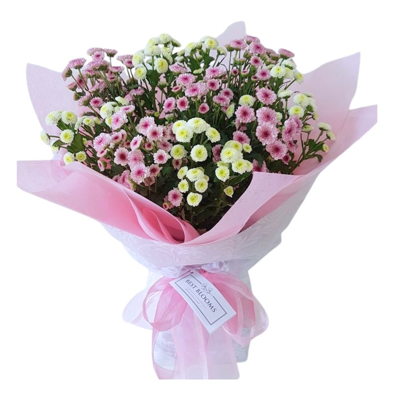 Sweet Santini Posy Soft pink and white Santini posy bouquet featuring mixed button mum flowers in a compact posy arrangement.